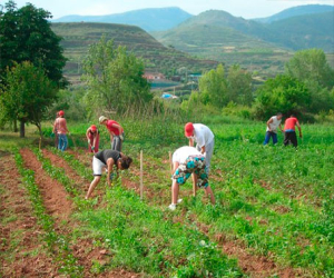 Agricultura apuesta por los jóvenes y garantiza un aumento en las ayudas para su incorporación al campo