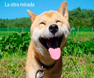 ¿De qué se ríe usted?