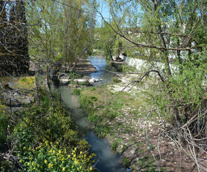 Conversaciones con el Marchán I