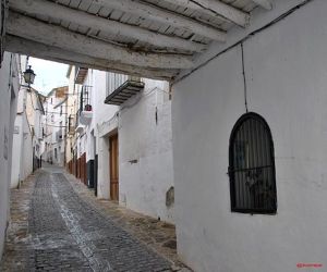 Hornacina: El Señor del Cobertizo (VII)
