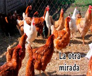 El problema no es Rajoy