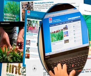 La Junta abre una nueva convocatoria de ayudas para transferencia de conocimiento e información al sector agrario