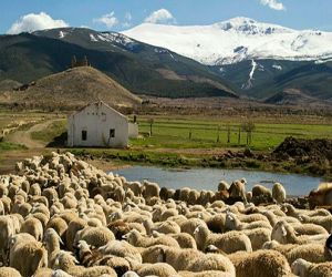 La ADSG Alhama los Ríos ha recibido una ayuda por importe de 80.831,64 euros