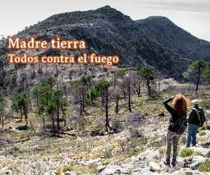 Todos contra el fuego
