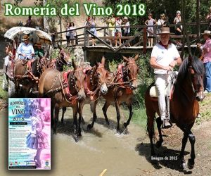 Romería del Vino 2018