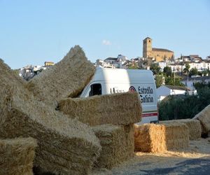 Incidente de tráfico en la entrada de Alhama por carretera de Granada