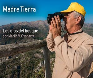 Los ojos del bosque