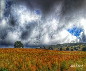 Un día de otoño