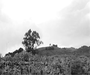 Tierra de labor