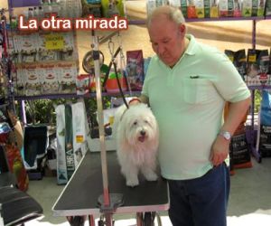 Marchando por Alhama, en marcha