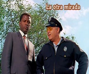¡Pues claro que sí!