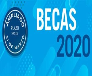 Fundación Magtel ofrece 30 becas de prácticas profesionales dentro de su Programa de Iniciación en el Ámbito Empresarial