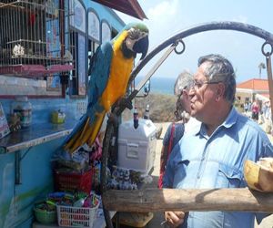 Caribe: Aruba, una isla feliz