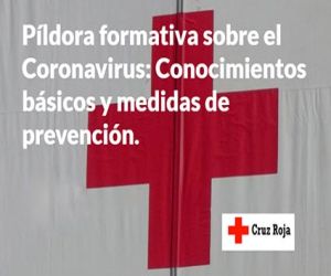 Cruz Roja en Granada refuerza su atención a personas vulnerables ante el COVID-19