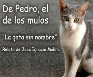 De Pedro el de los mulos