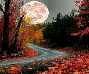 Trasnochó la luna