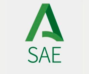 Nuevo modelo de cita previa en oficinas de Empleo del SAE