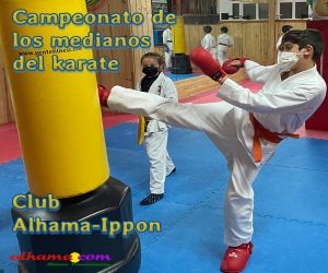 Campeonato de los medianos del karate