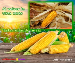 ‘Esfarfollando’ maíz