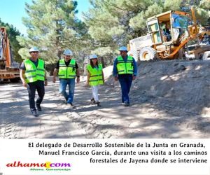 La Junta acondiciona en Jayena 12 kilómetros de caminos forestales en la lucha contra los incendios forestales