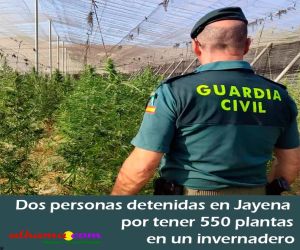 Dos personas detenidas en Jayena por tener 550 plantas en un invernadero