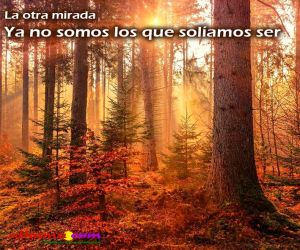 Ya no somos los que solíamos ser