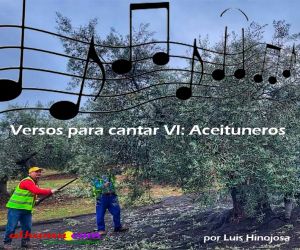 Versos para cantar VI: Aceituneros