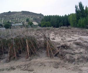La agricultura provincial se resiente tras las fuertes tormentas