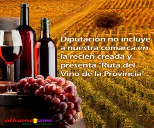 Diputación no incluye a nuestra comarca en la recién creada y presentada "Ruta del Vino de la Provincia"