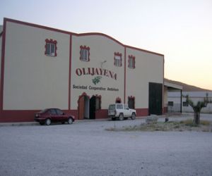 Décimo aniversario de Olijayena