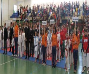 Celebrado el campeonato de Andalucía de kárate infantil