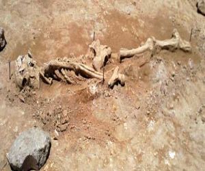 Aparece un cementerio en las obras del cuartel de la Guardia Civil