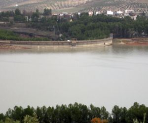 Los Bermejales, al 70 %,  el mismo nivel que hace una década