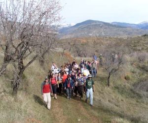 De Cadiar a Murtas por los caminos de la Contraviesa