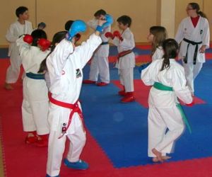 Primer entrenamiento de la selección granadina de kárate infantil