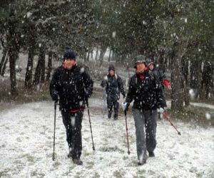 Cientos de pasos a través de la nieve
