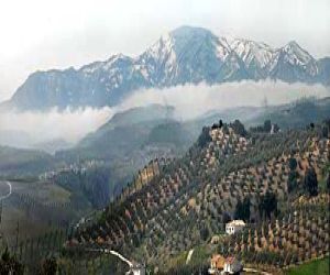 Jornada oportunidades de futuro en el Parque natural Sierras Tejeda, Almijara y Alhama