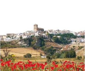 VIII Edición del concurso ¡Alhama, ponte guapa!
