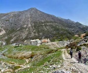 Denuncian al alcalde de Játar por permitir pastar en una finca privada