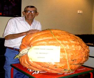 La supercalabaza de Fermín, "El Abuelillo"