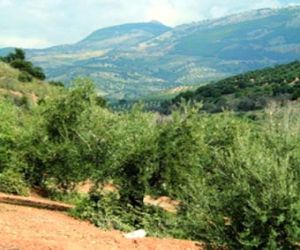 Junta de Andalucía destina más de 3 millones al desarrollo sostenible de los espacios naturales de Granada