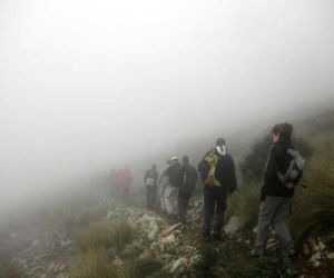 Compañeros, entre la niebla