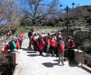 Entre dehesas y bosques