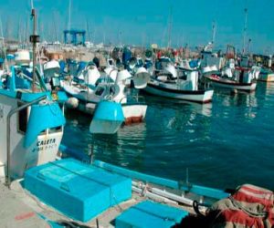 El fiscal se querella contra un vecino de Zafarraya que pescó ilegalmente dos atunes rojos