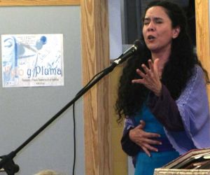Recital de flamenco y poesía; “Velo y Pluma”
