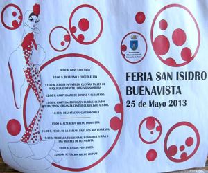 Fiesta de Buenavista 2013