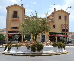 Remedios naturales. El olivo no es sólo aceite