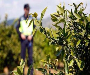 Detienen en Ciudad Real a ladrones que utilizaban para robar una furgoneta robada en Alhama