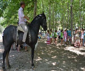 Fornes celebra su romería 2014