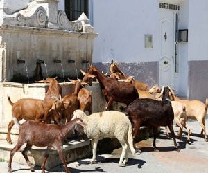 Játar confía en el turismo rural como 'pilar' para el despegue económico